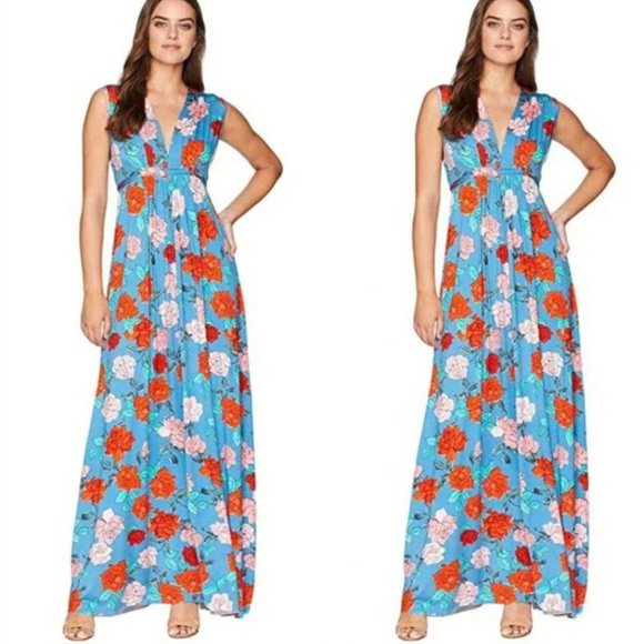 Rachel Pally Kaftan Dress Blue Red Floral V Neck Pleated Stretch Maxi XS - Picture 1 of 7